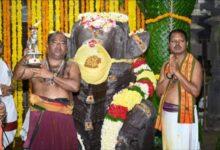 నందీశ్వర స్వామి వారికి విశేష పూజలు